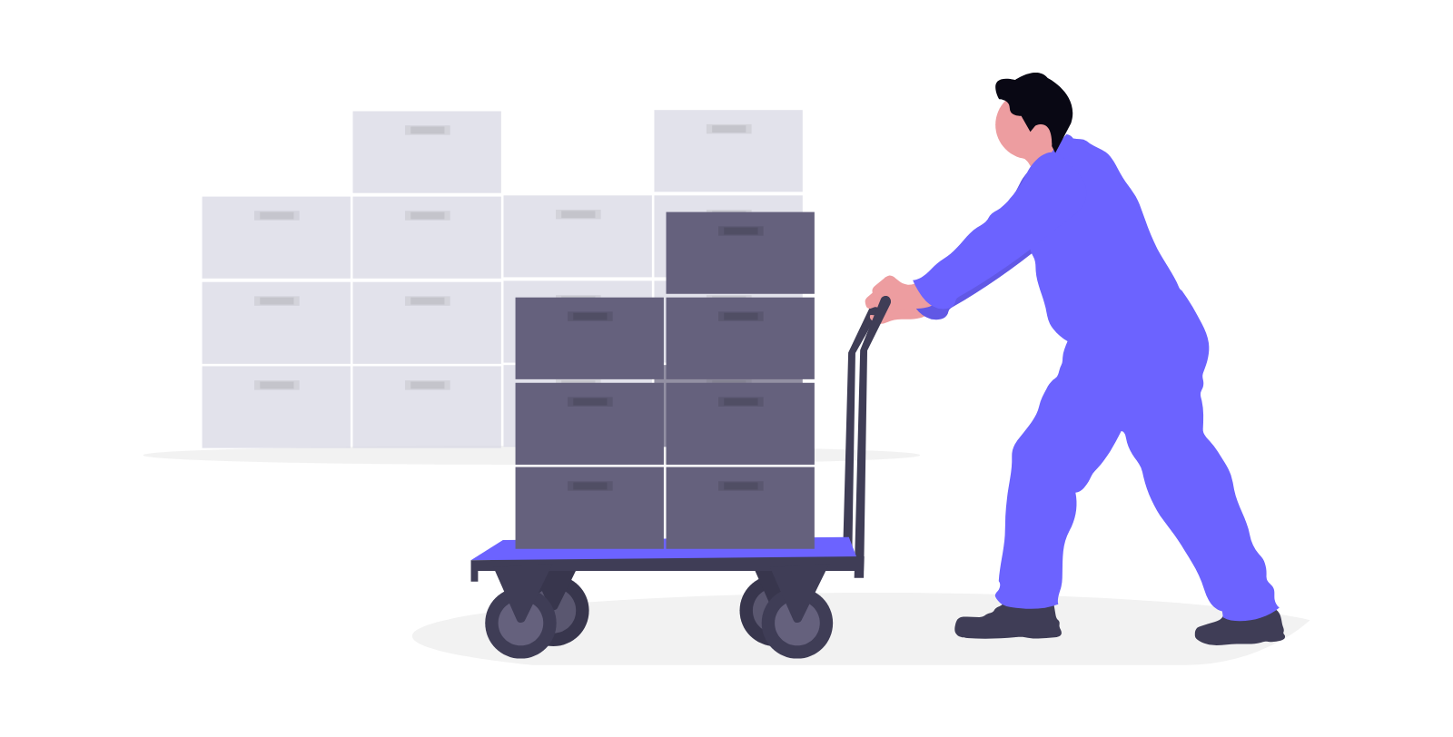 Driver & Vehicle Management
